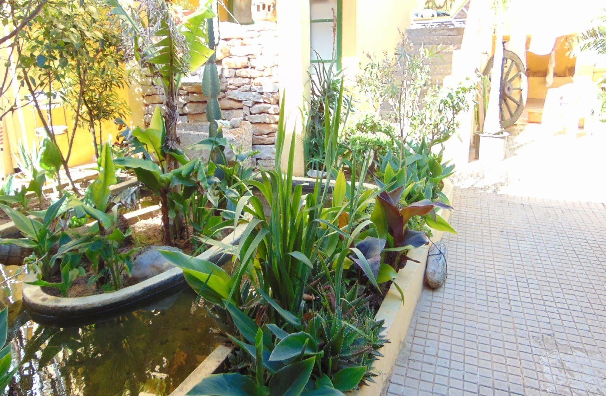 Casa Mestre Guesthouse Vila do Bispo Extérieur photo